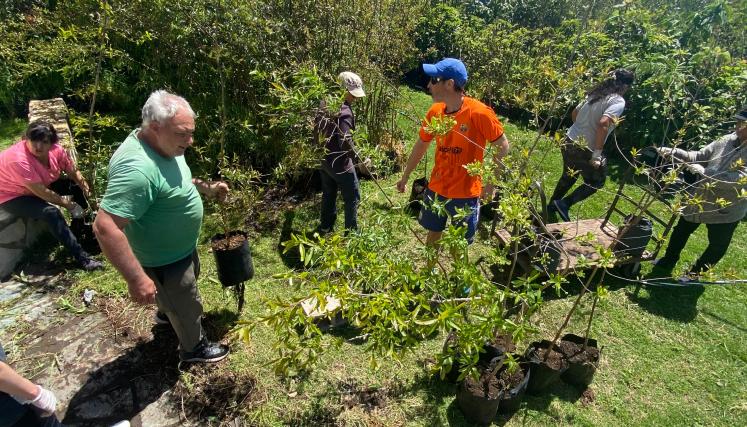 Voluntariado en CIFA