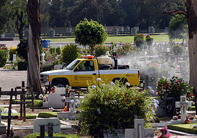 Personal del Gobierno de la Ciudad de Buenos Aires realiz un amplio operativo de fumigacin y descacharrizacin en el Cementerio de la Chacarita, como parte de los trabajos para la prevencin del dengue. Foto: GCBA.