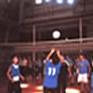 voley