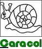 caracol
