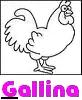 gallina