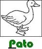 pato