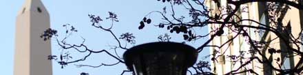 banner_banco_ciudad