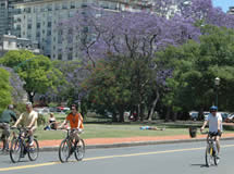 Descripci&oacute;nde la imagen