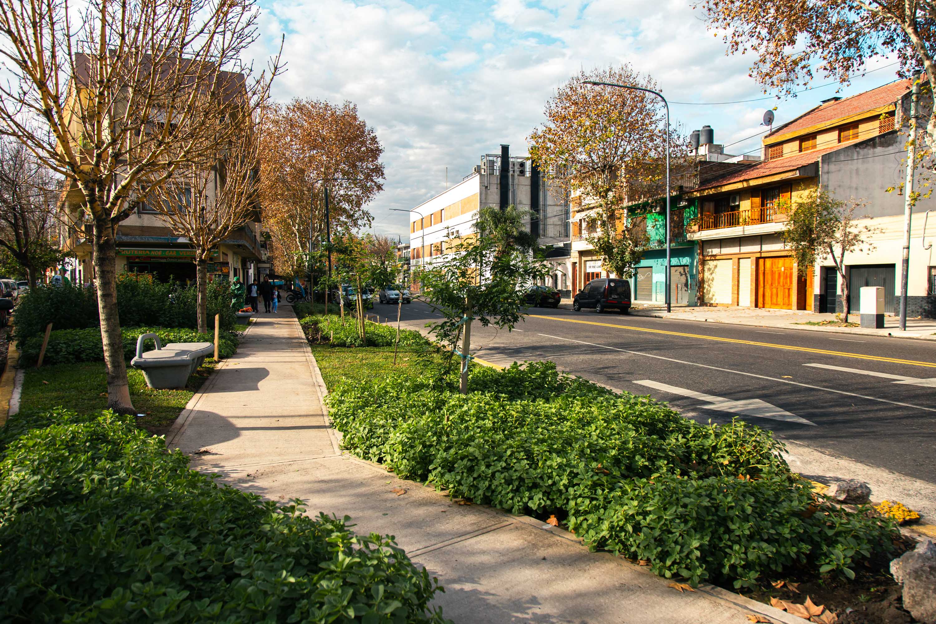 Cumplimos nuestro Compromiso de construir 10 calles verdes en la Ciudad