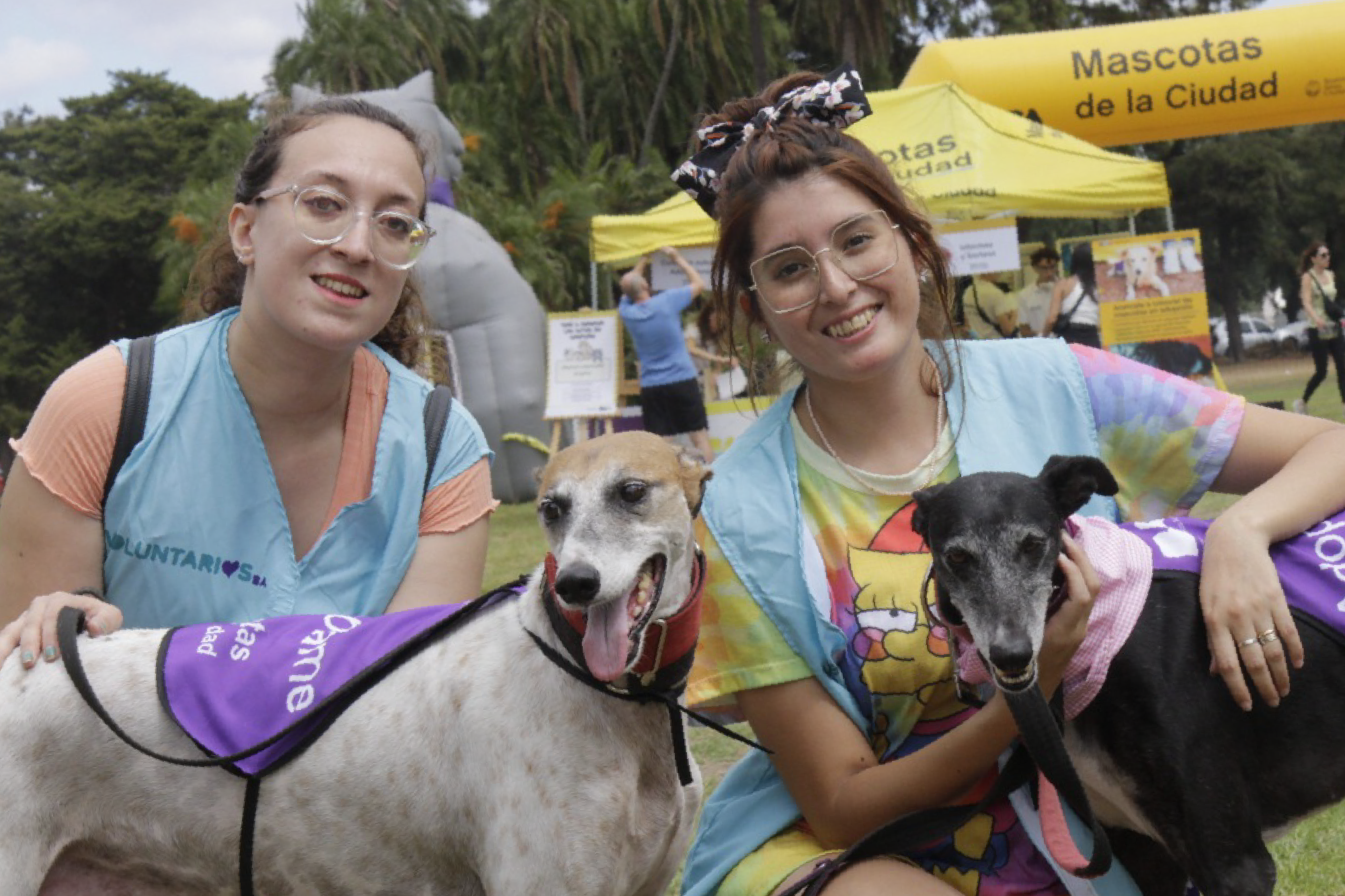 Participá como voluntario en la Jornada de Adopción de Mascotas 