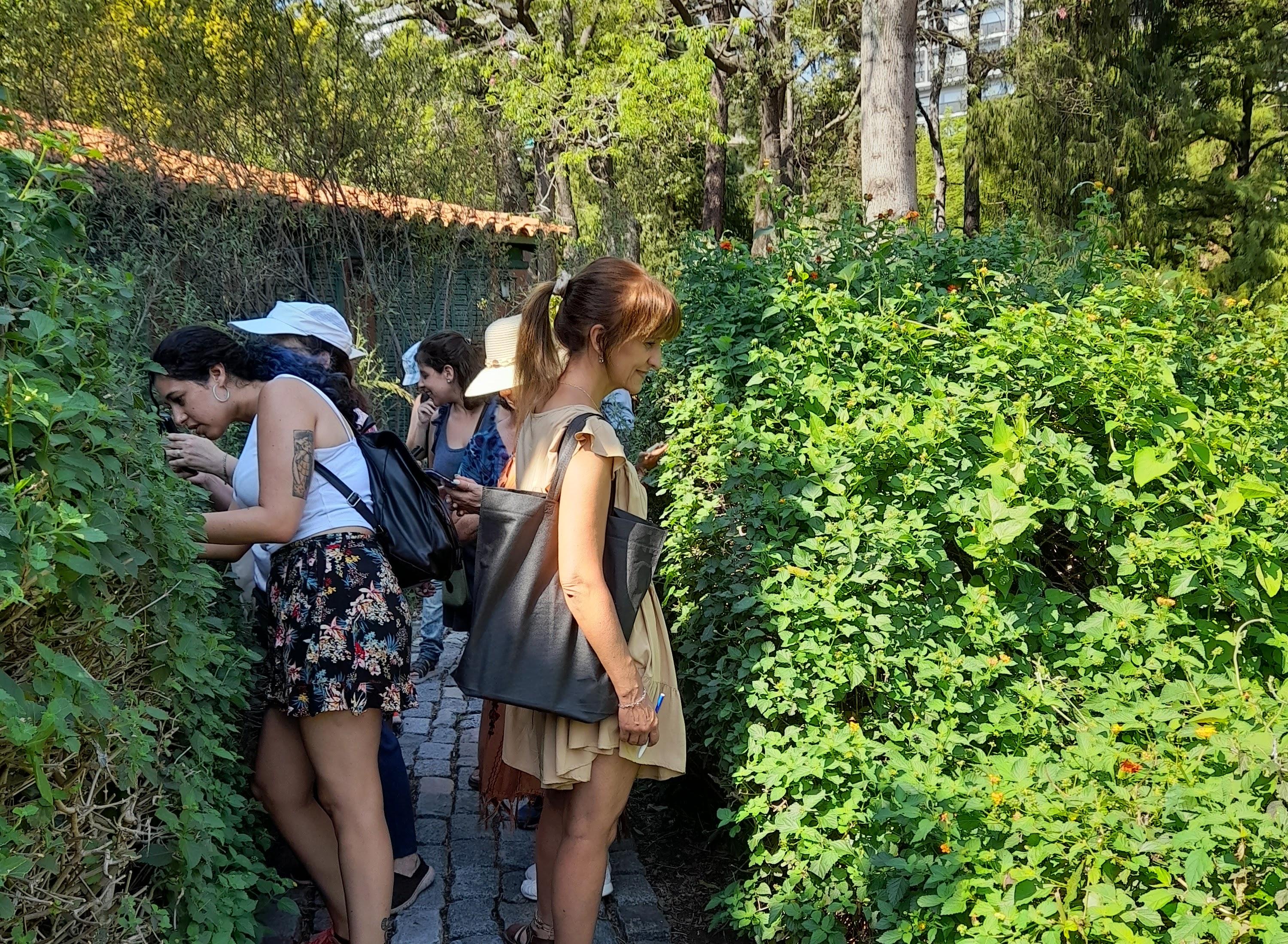 Reunión virtual de vecinos y vecinas de la Comuna 5 con Horacio