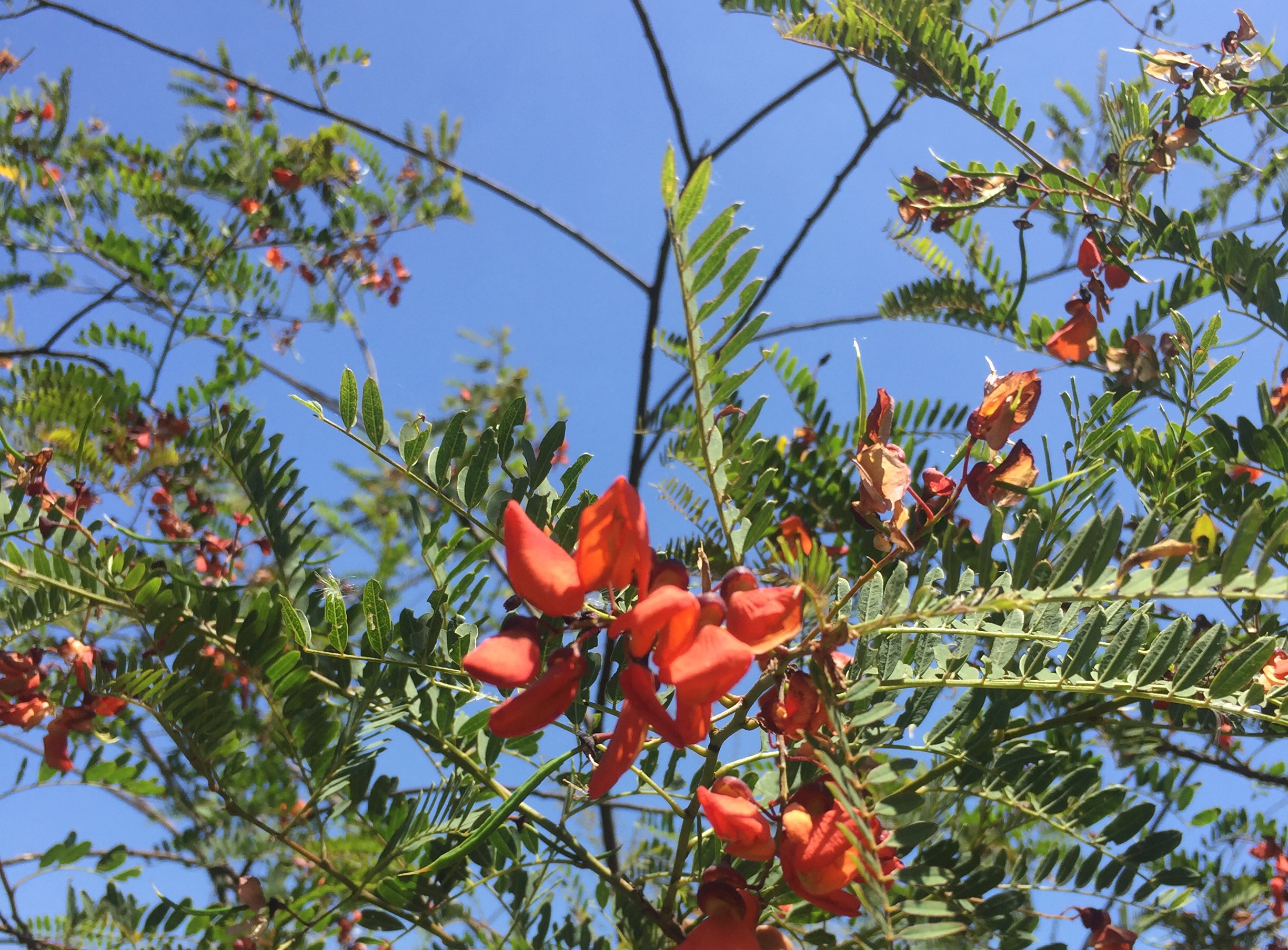 Convenio de intercambio cultural con el municipio mendocino de Godoy Cruz