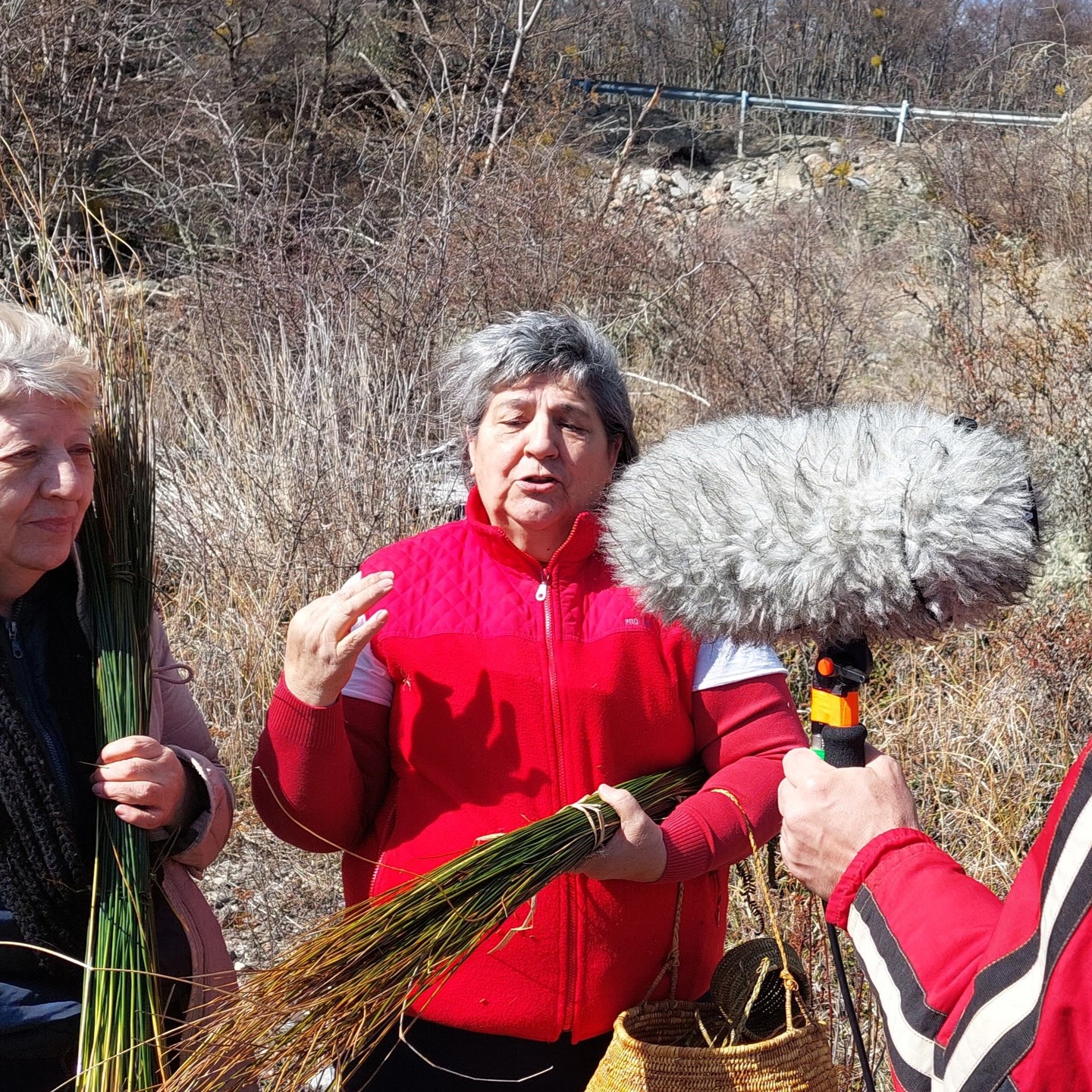 Cronograma de Servicios Públicos para el 12 y 13 de febrero  