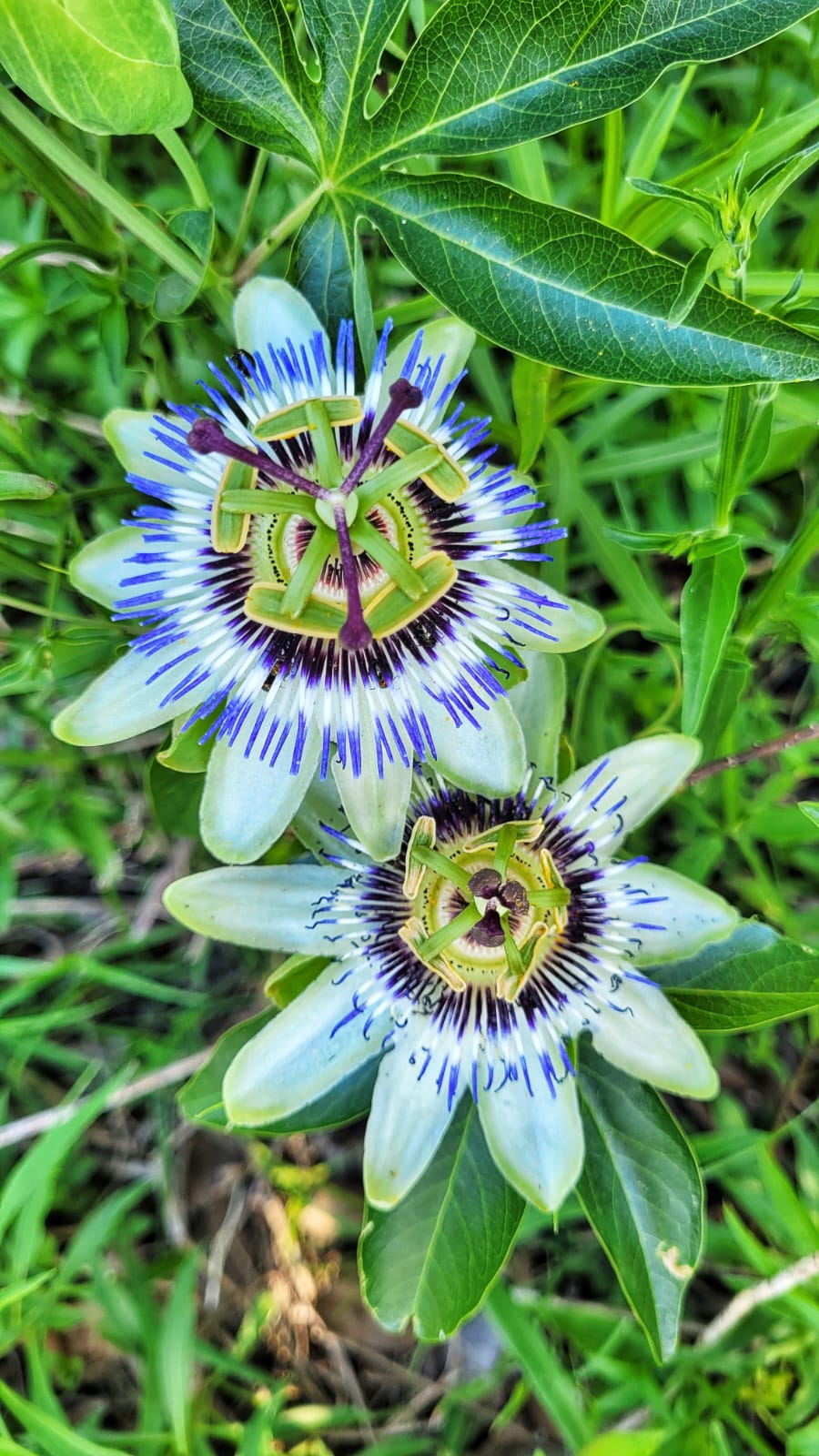 Participamos de una nueva reunión virtual de Comisarías Cercanas 2021