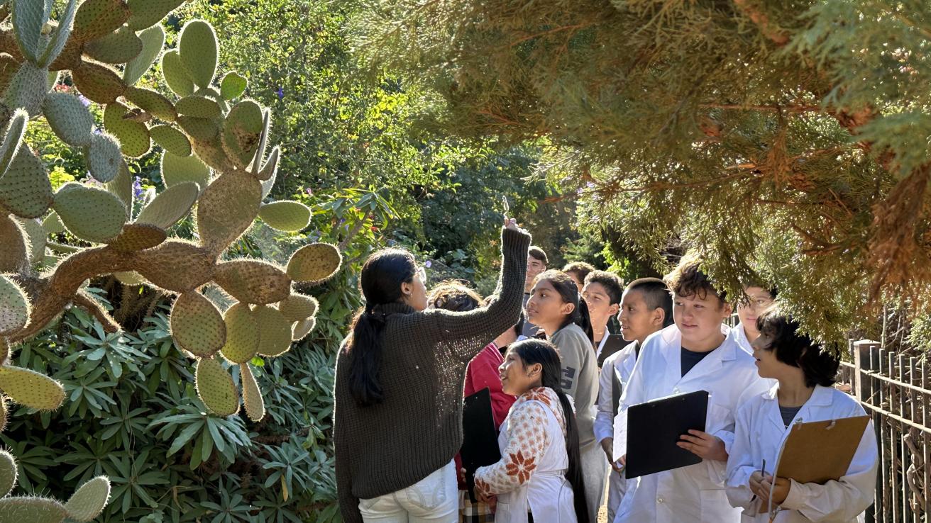 La guía completa de actividades para las vacaciones de invierno
