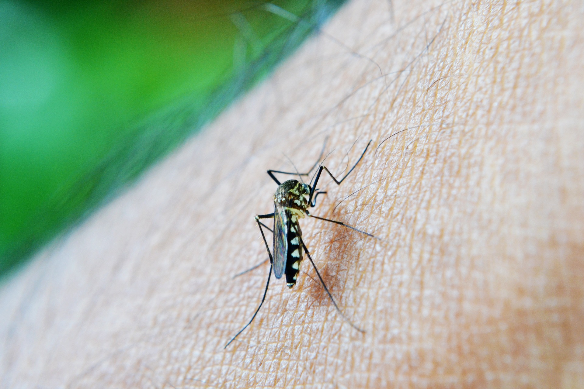 La Ciudad habilitó unidades de atención febriles para dengue en 18 Hospitales Públicos