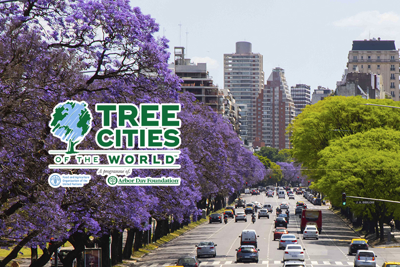 Buenos Aires destaca como una de las capitales con más árboles a nivel mundial