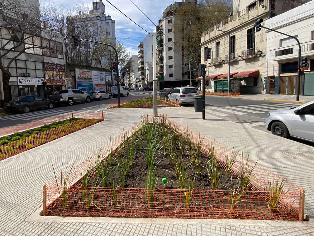 Una nueva esquina verde, en Soler y Cabrera, se suma a Recoleta