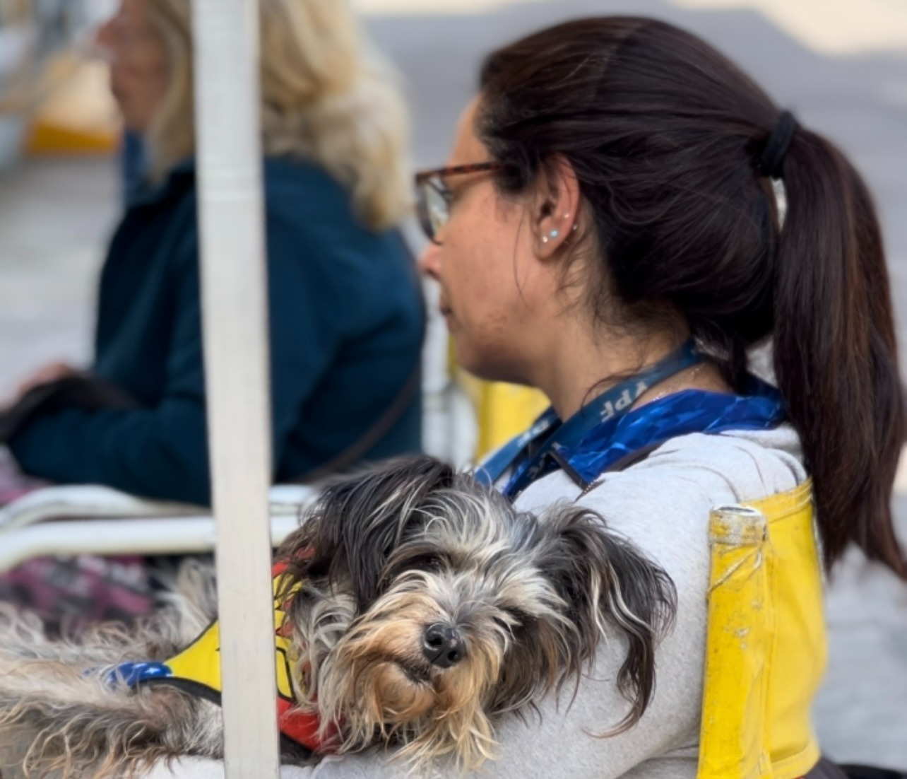 Las Estaciones Saludables fueron escenario de un taller para concientizar sobre el cuidado responsable de perros y gatos, a cargo de Animales BA