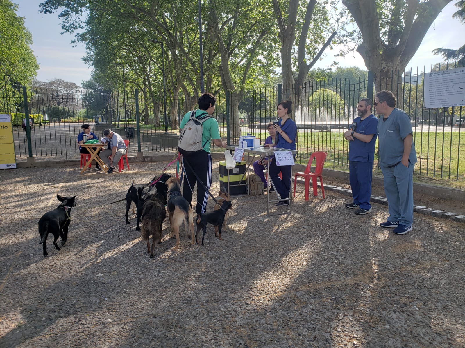 Postas de salud para mascotas en la Ciudad: conocé el calendario de noviembre