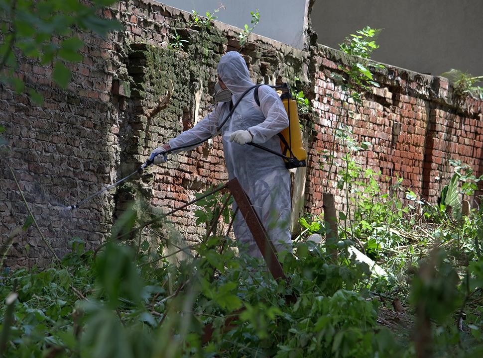 Higienización, desratización y prevención del dengue en baldíos y casas abandonadas: cómo funciona el servicio que cuida la salud pública en la Ciudad 