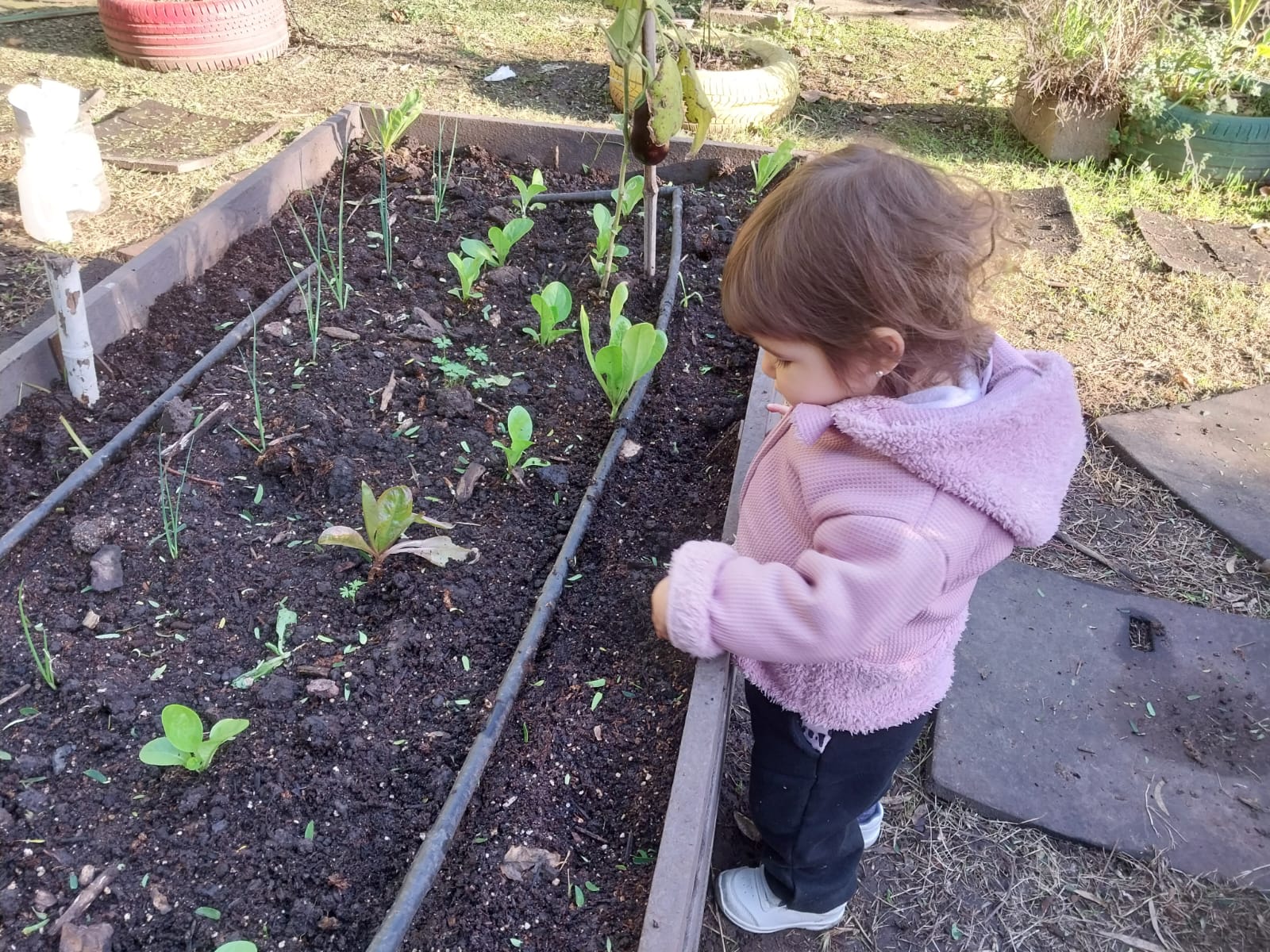 5ta. Jornada de Educación Ambiental Obligatoria en la Ciudad