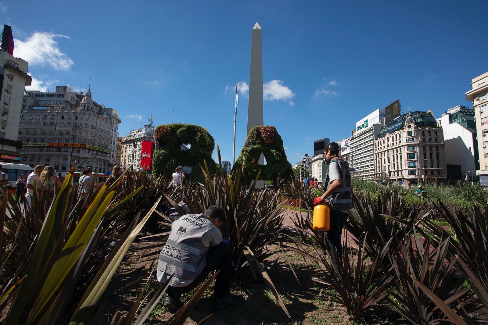 Desratización: acciones permanentes para un tema recurrente