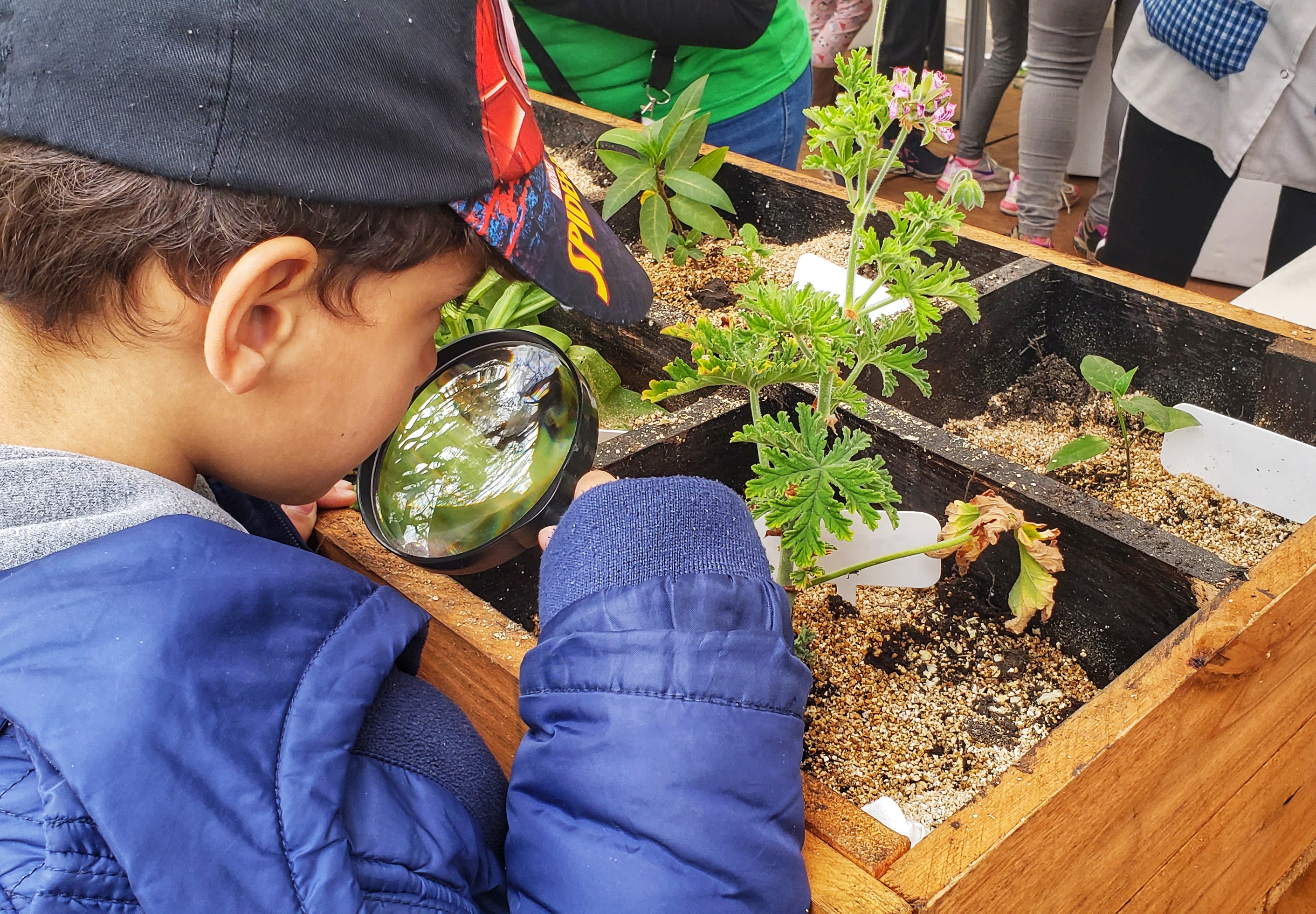 ¡Comenzó la postulación al Reconocimiento Escuelas Verdes!
