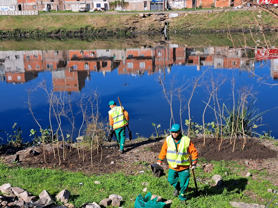 La Ciudad plantará 650 árboles en el Camino de Sirga