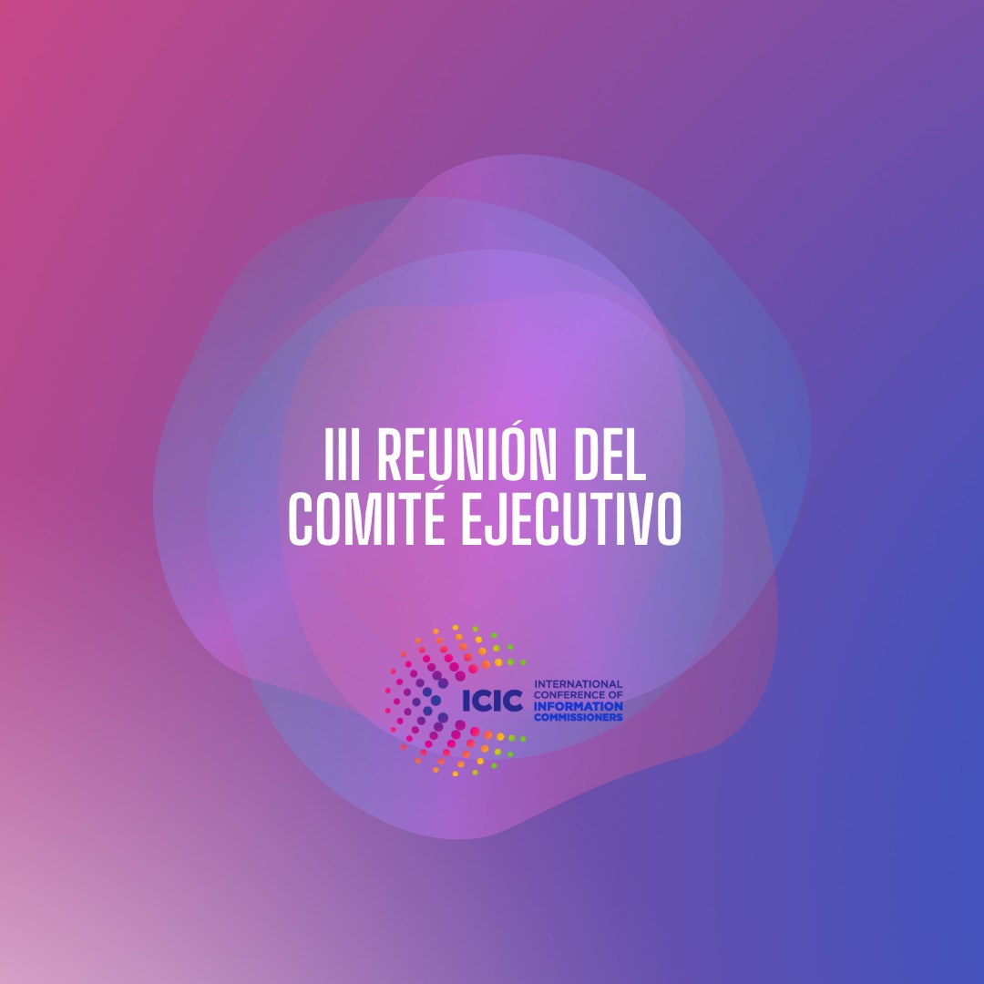 3ra. Reunión del Comité Ejecutivo de ICIC