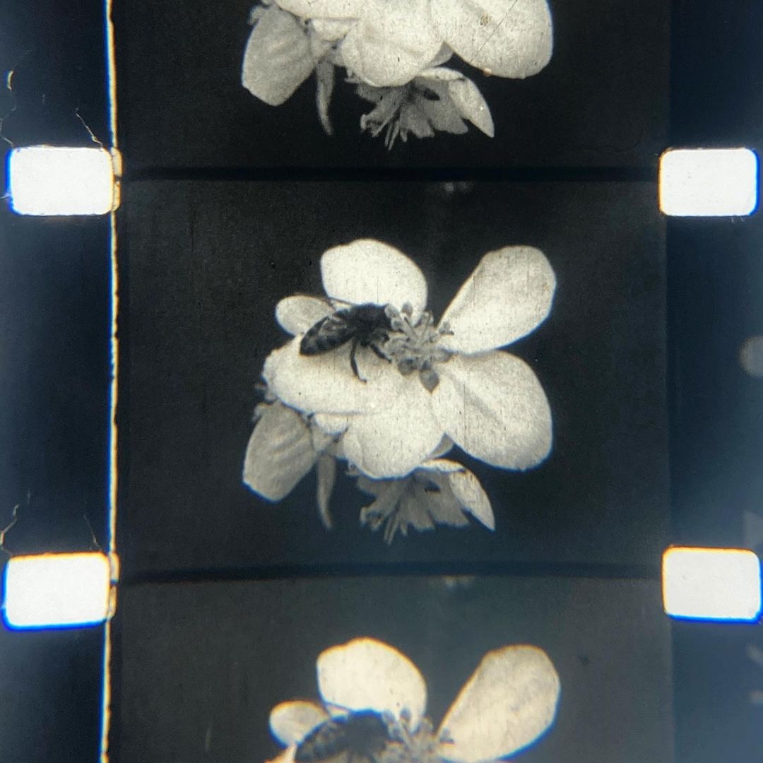 Octubre en el Museo del Cine