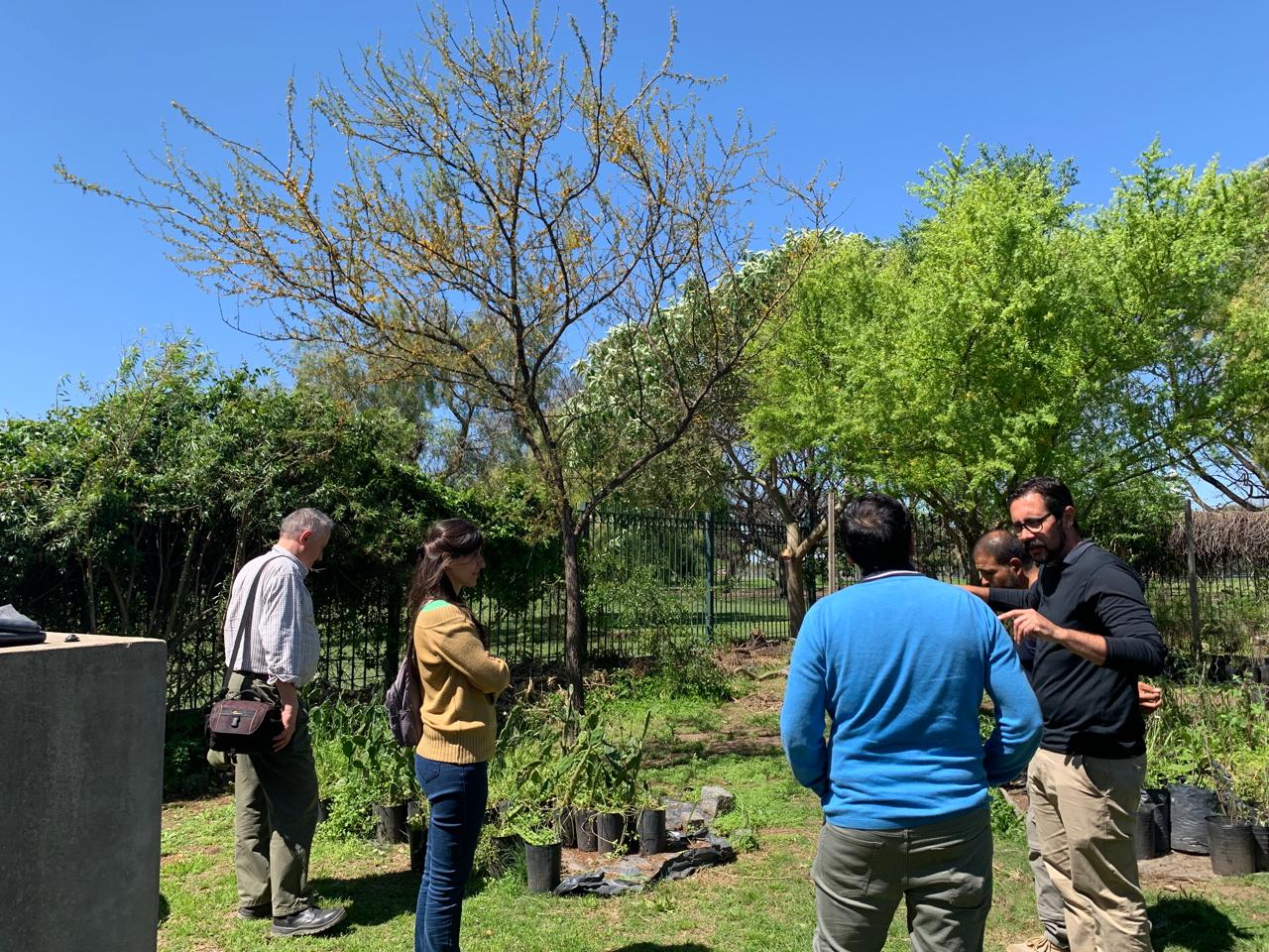 Infraestructura verde en el Camino de Sirga del Riachuelo