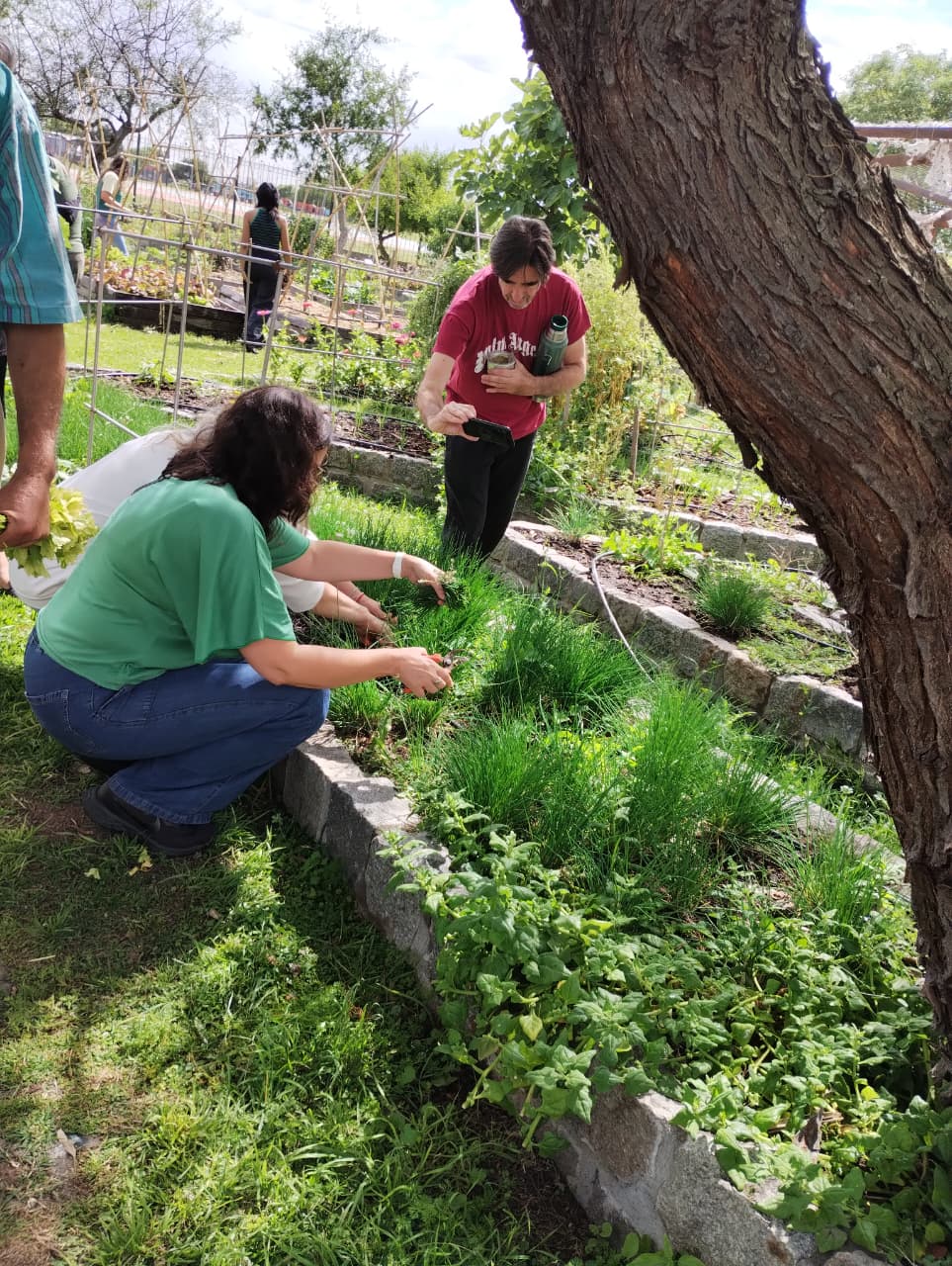 Cierre de capacitación a trabajadores de CESAC
