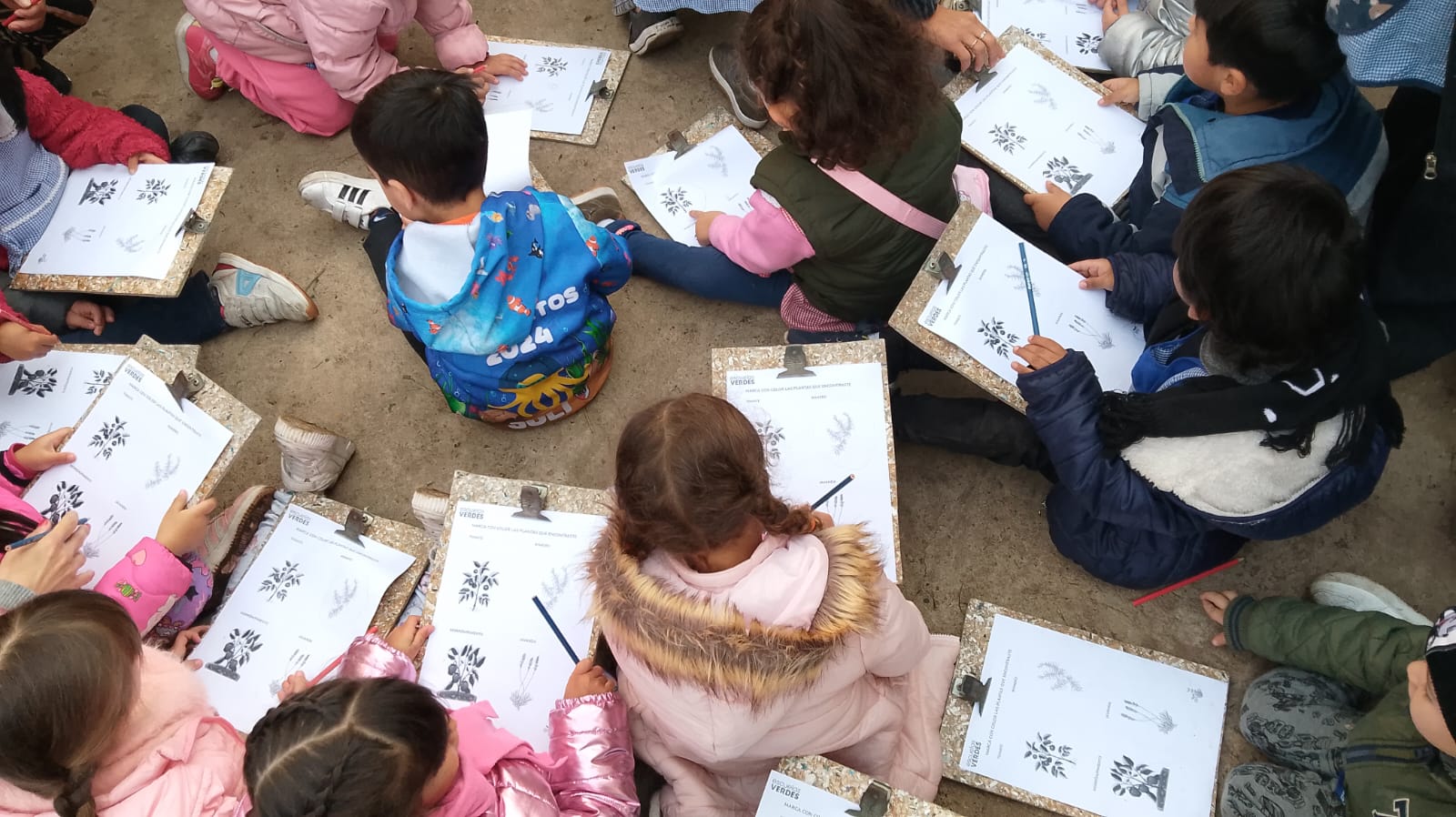 La Educación Ambiental se consolida como abordaje curricular desde temprana edad