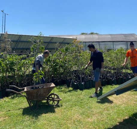 Inscripción al voluntariado en huerta y vivero