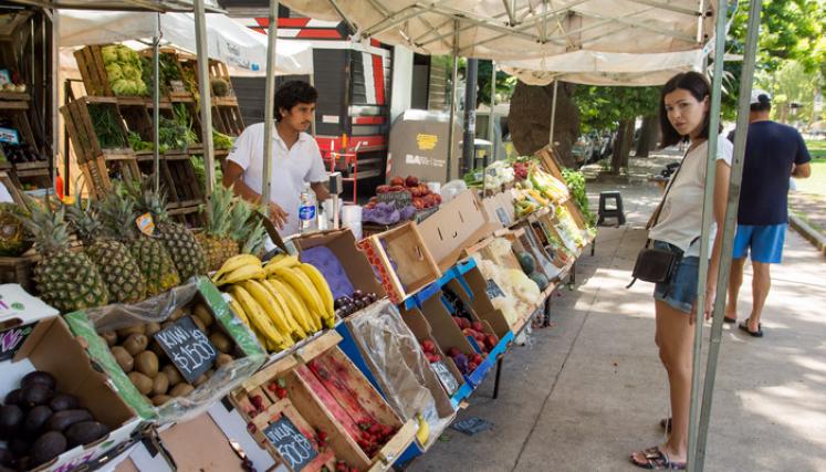 Feria Migrante | Plaza Irlanda