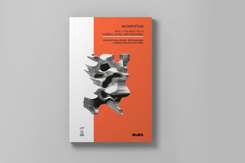 Presentación de Momentum