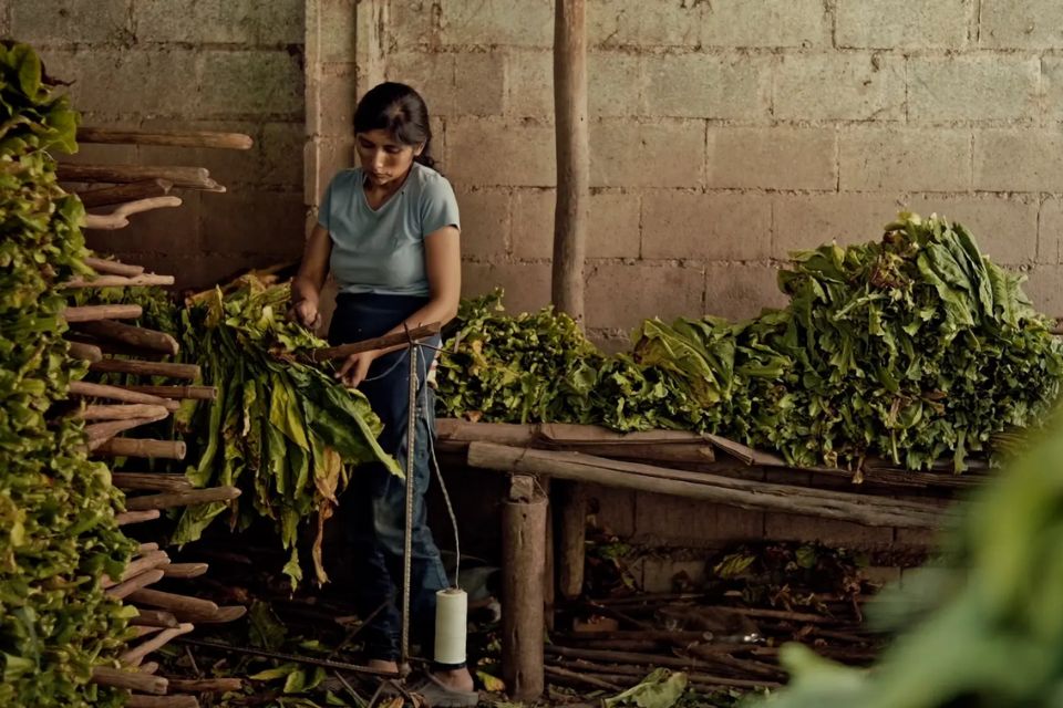Wacay, Mujeres del Tabacal