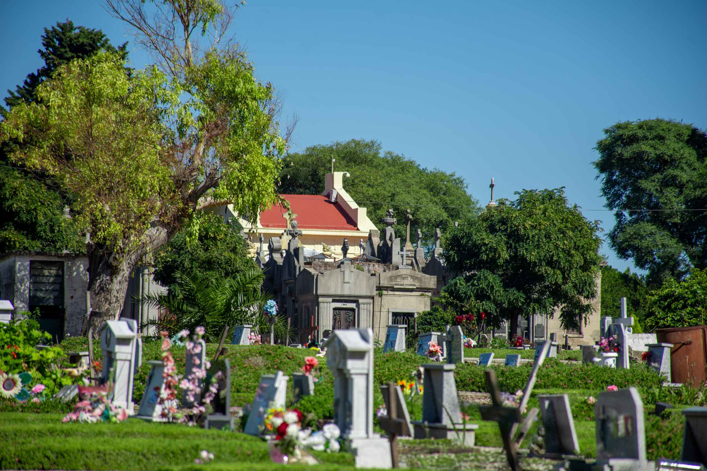 Visita guiada al Cementerio de Flores 5