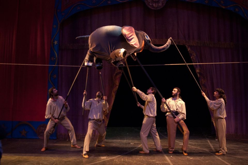 El Gran Circo | Funciones distendidas 6