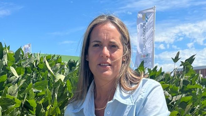 AndreaSarnari
