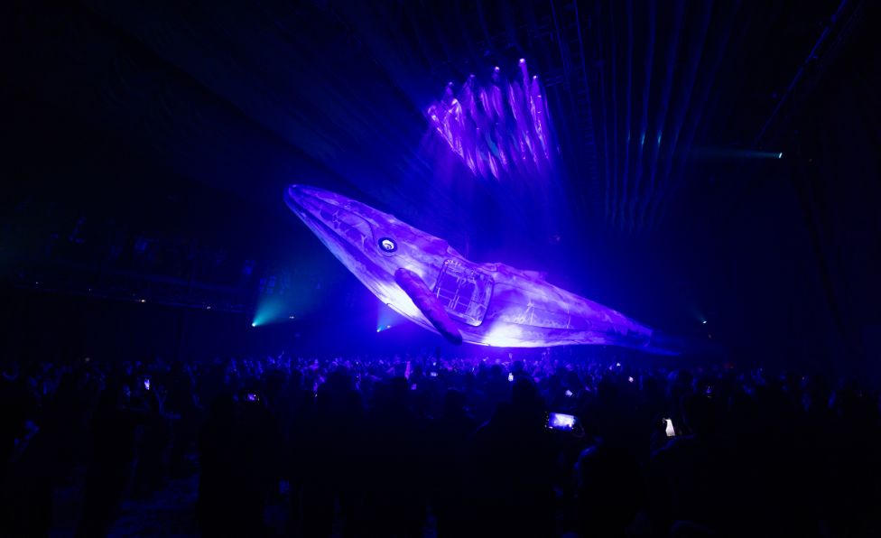 Fuerza Bruta 7