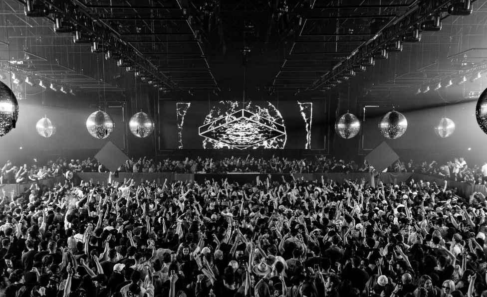 CamelPhat Experience