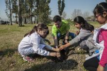 Escuela Verdes