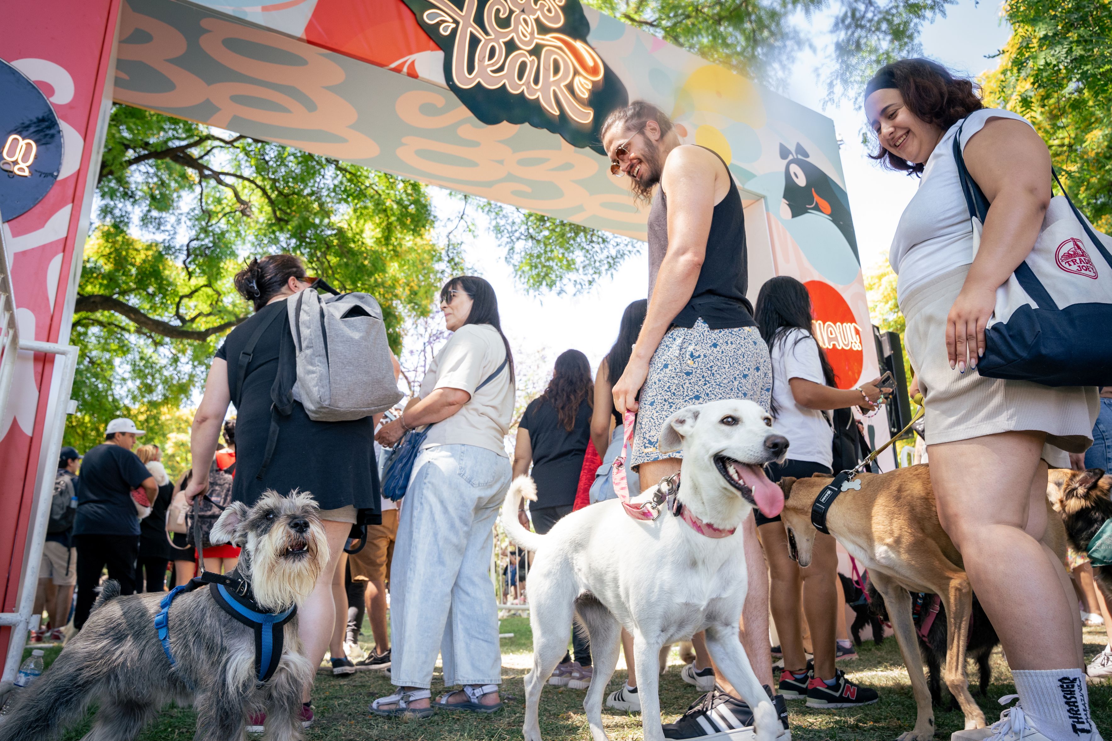 Afiche de Festival Mascotear