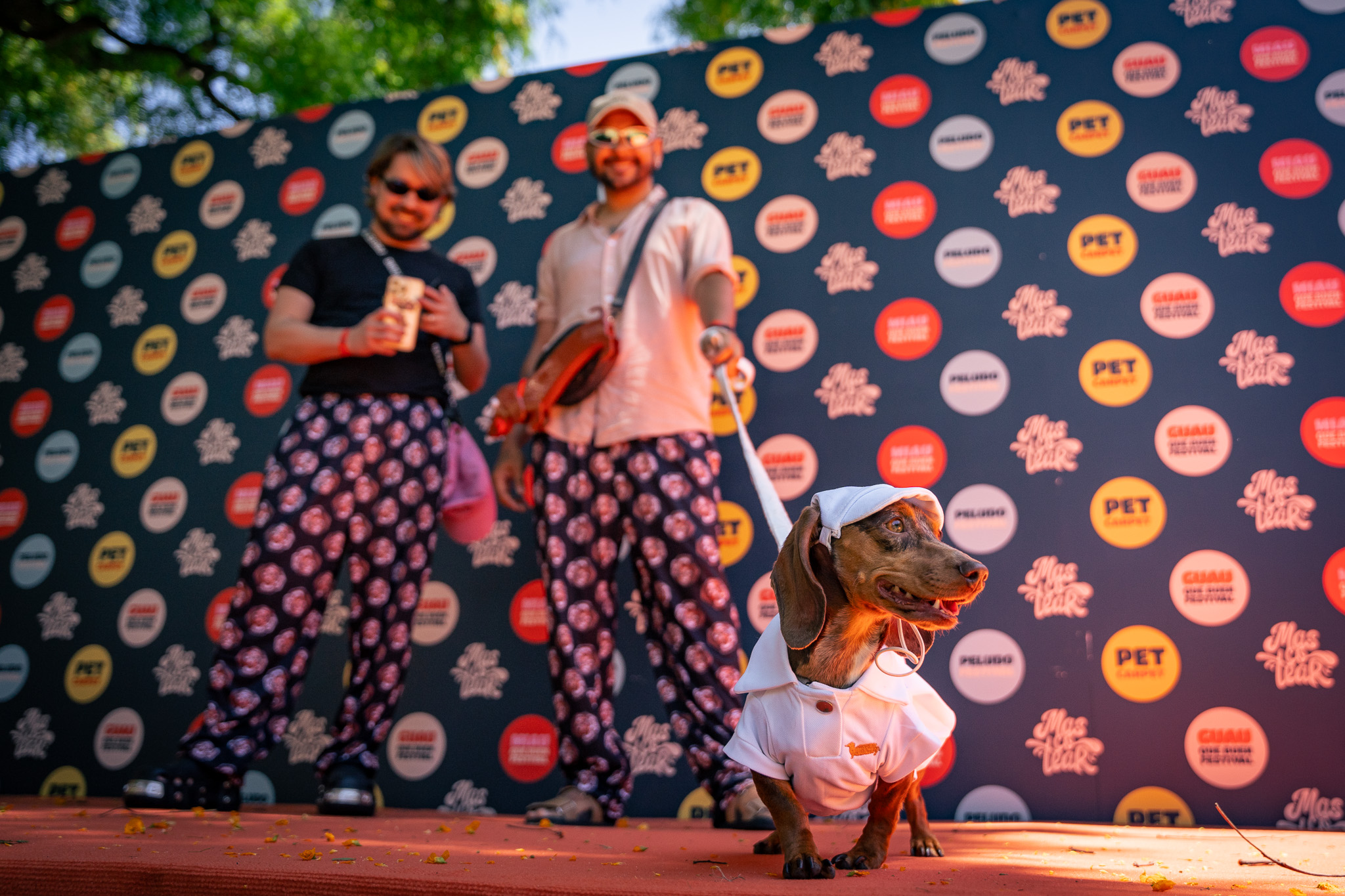 Festival Mascotear  4