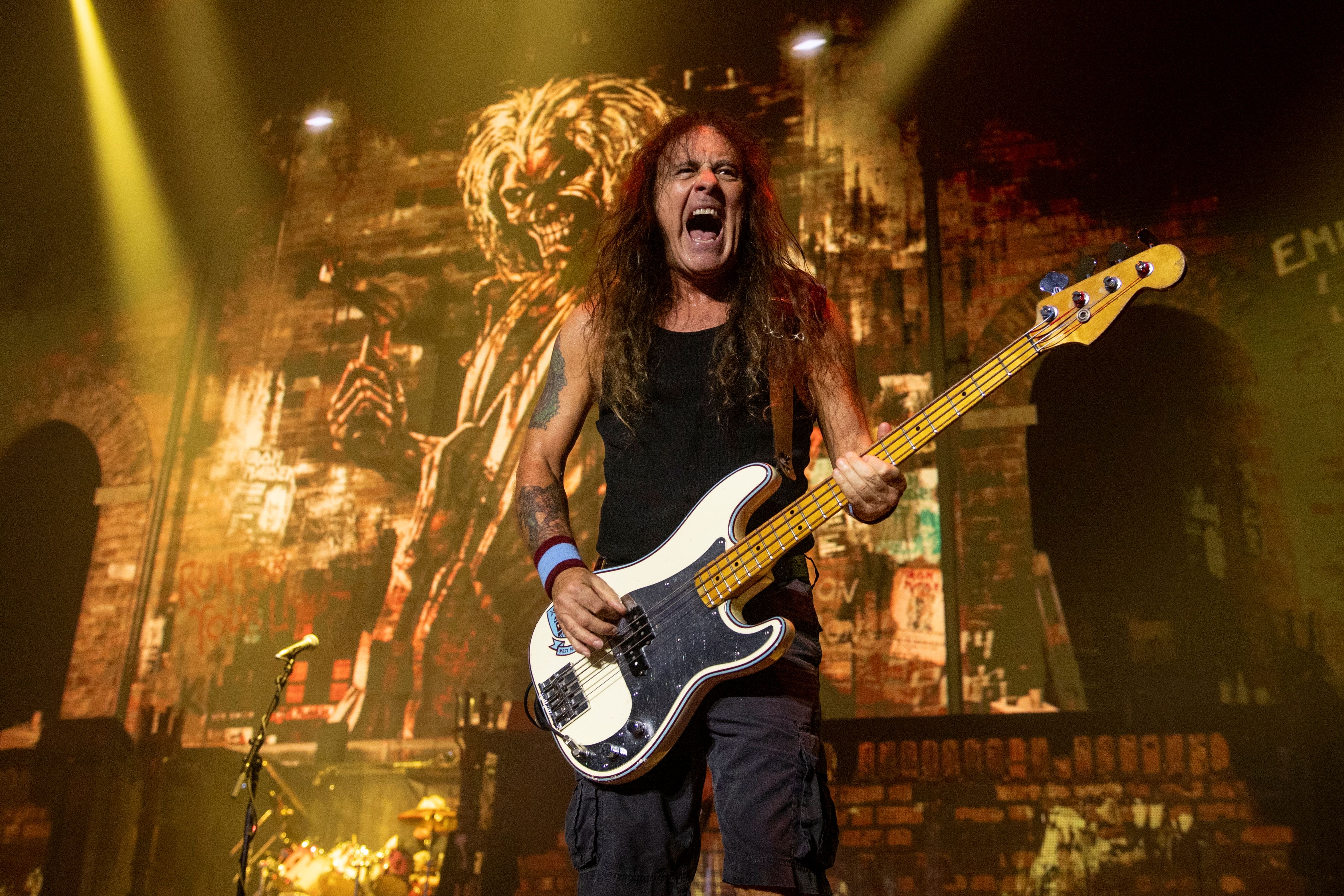 Iron Maiden 7