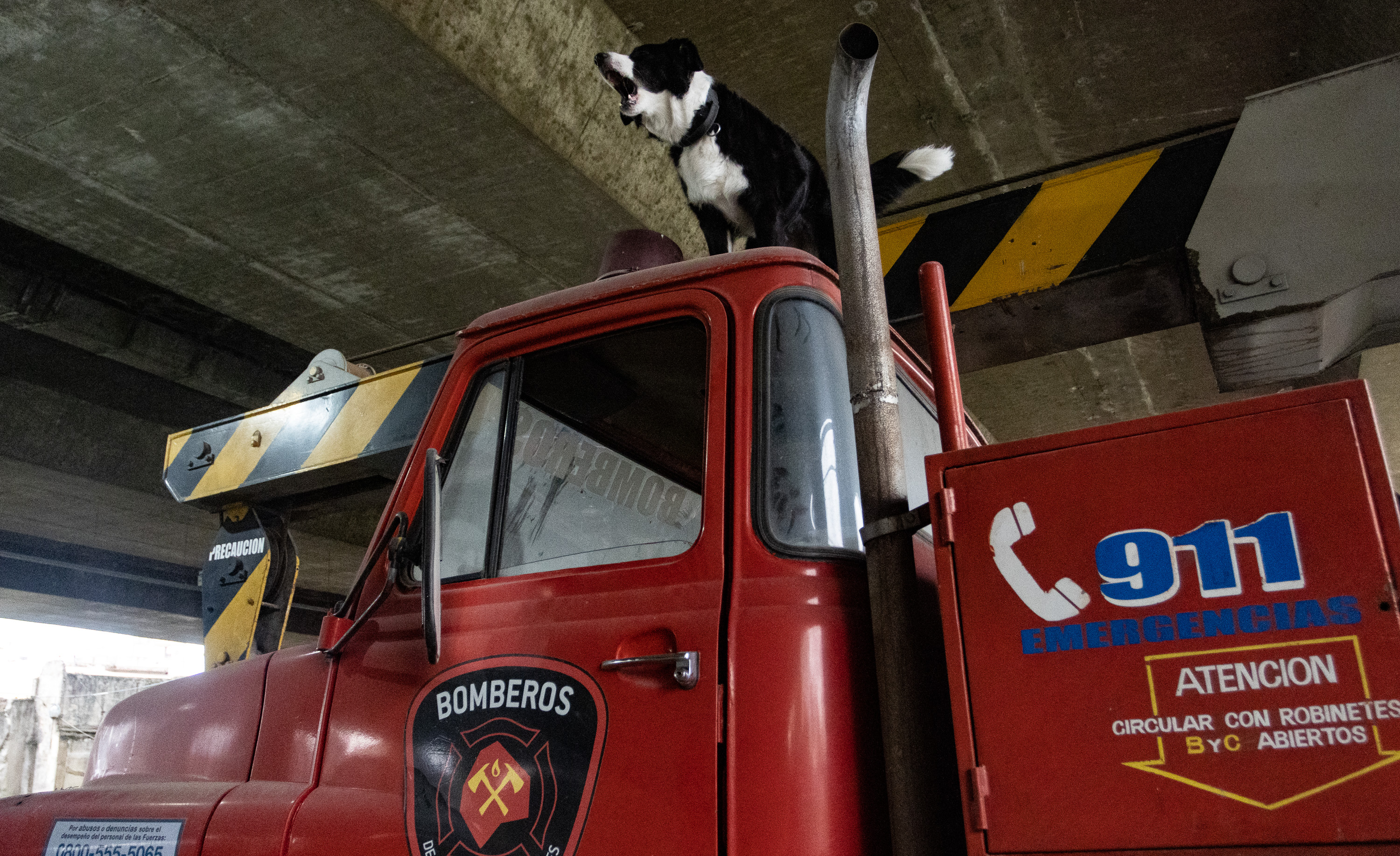 camion