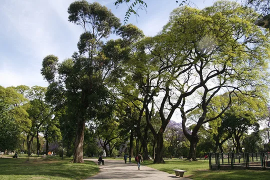 La Ciudad suma inversión privada para mejorar 16 parques y plazas con cafés y nuevos servicios