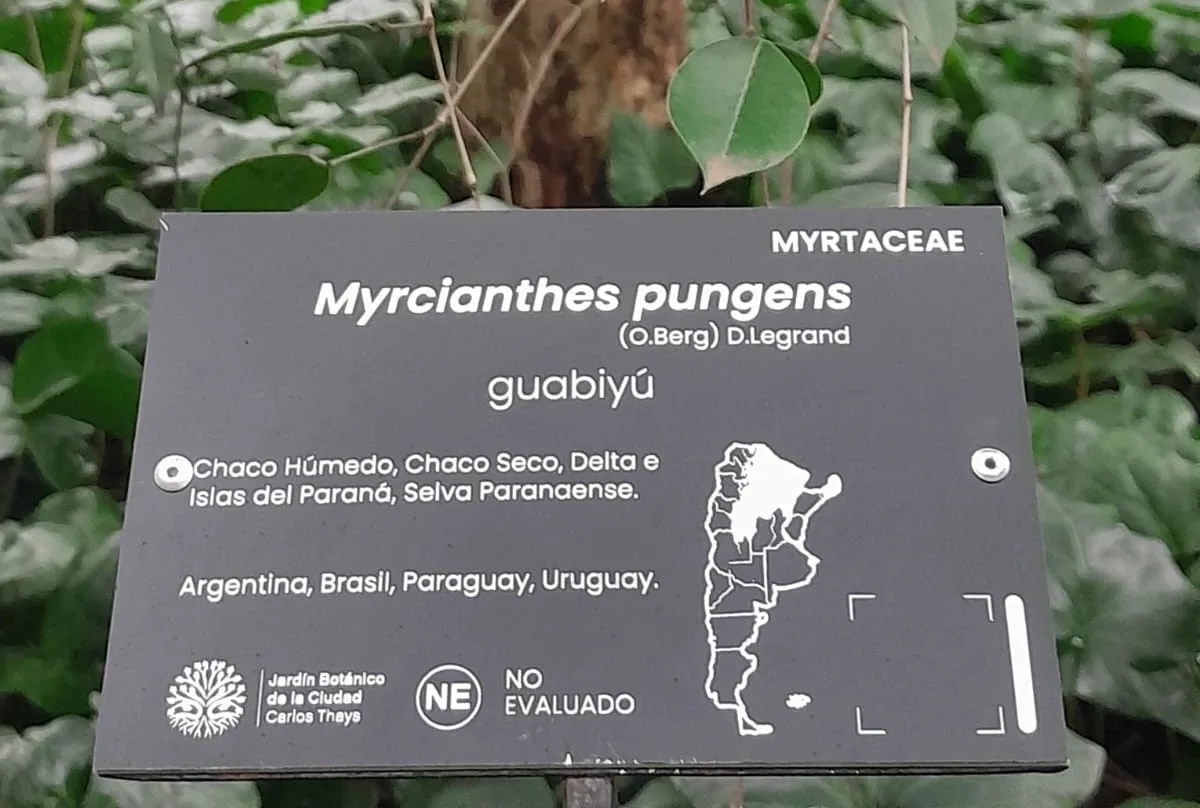 La Ciudad promueve acciones de conservación de la biodiversidad