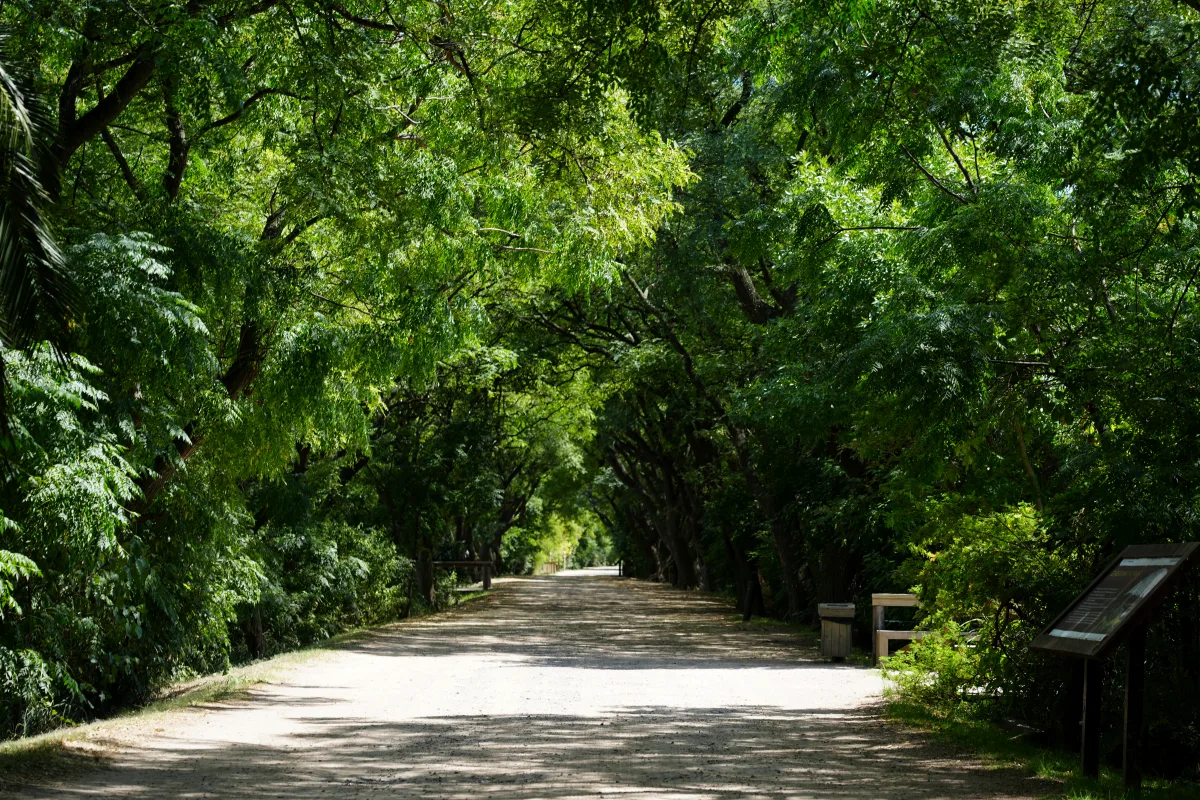 Vacaciones de invierno: la Ciudad invita a descubrir la naturaleza con actividades gratuitas para toda la familia