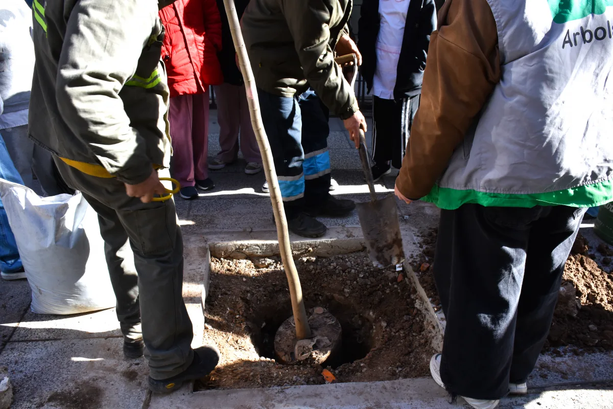 El Día del Árbol se celebró con una jornada de plantación junto a alumnos de Recoleta