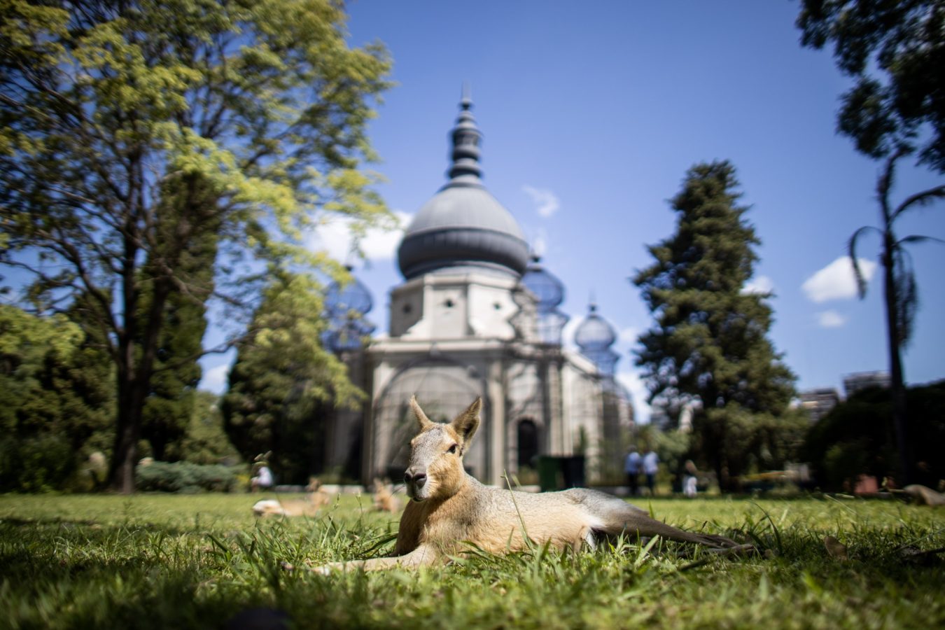 Visita guiada al Ecoparque | Historia de su patrimonio