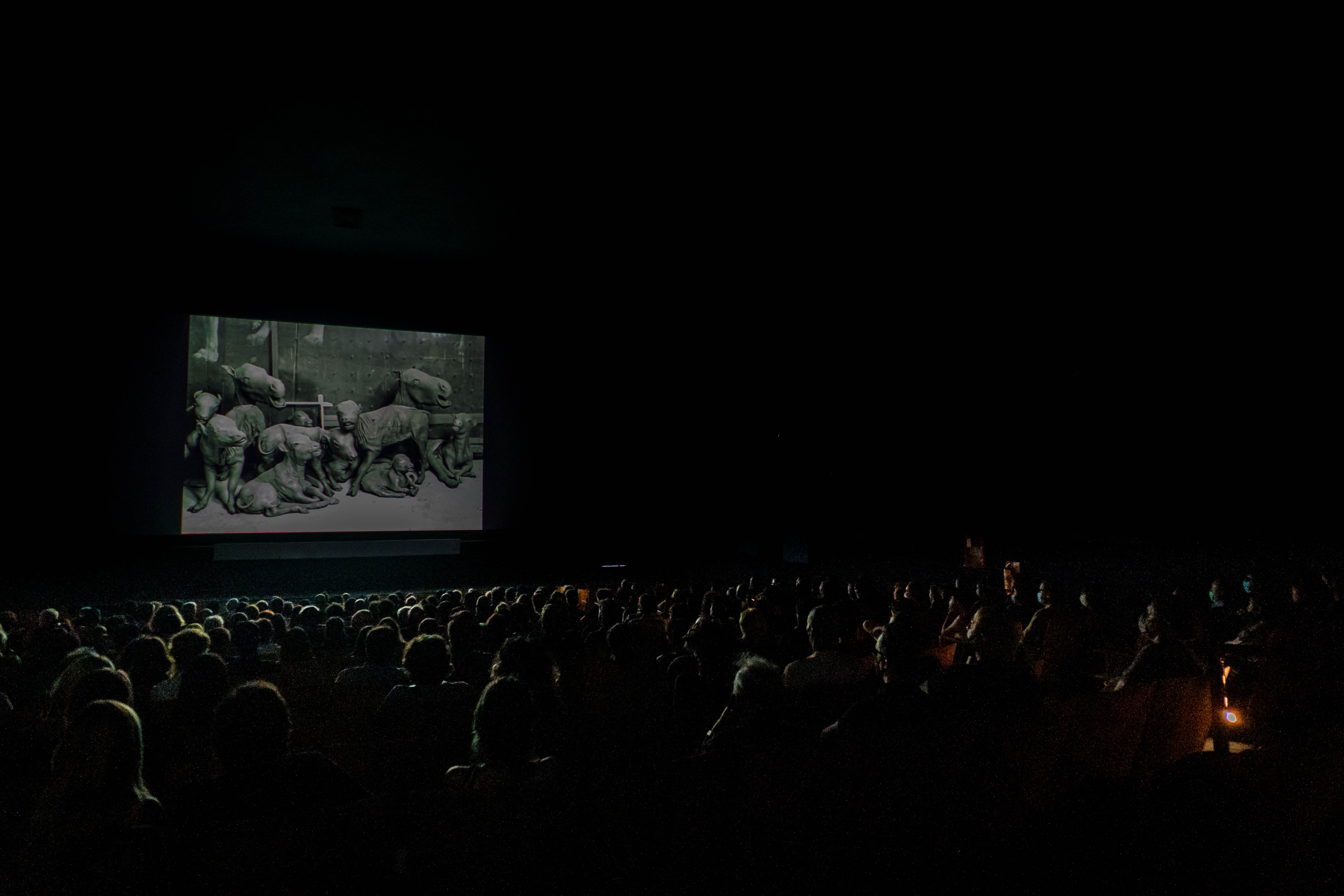 Proyeccion de pelicula a sala llena en el Cine Gaumont